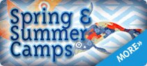 Summer Camps Information